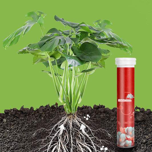 🌿 Langwerkende Meststoftabletten – Gezonde groei voor al je planten, binnen én buiten!