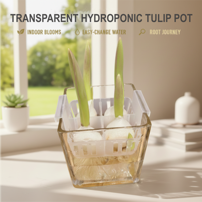 🌷Transparante hydrocultuurpot voor tulpen