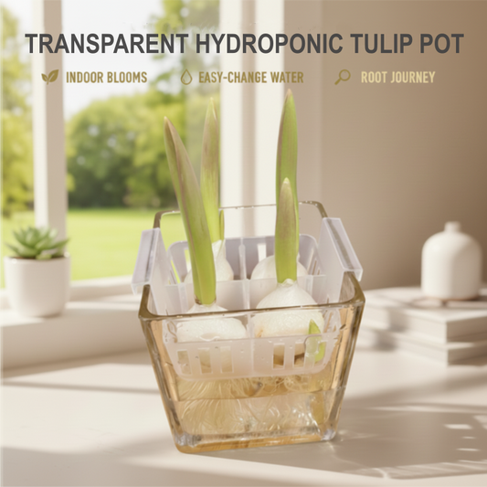 🌷Transparante hydrocultuurpot voor tulpen