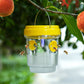 🛡️ Bescherm je tuin tegen wespen – zonne-energie val met LED-licht – weerbestendig en onderhoudsvriendelijk 🌞🐝