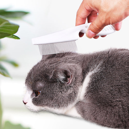 🐾✨ 50% KORTING – RVS Massagekam voor Huisdieren – Verwijdert Losse Haren, Vlooien en Teken in Eén Beweging