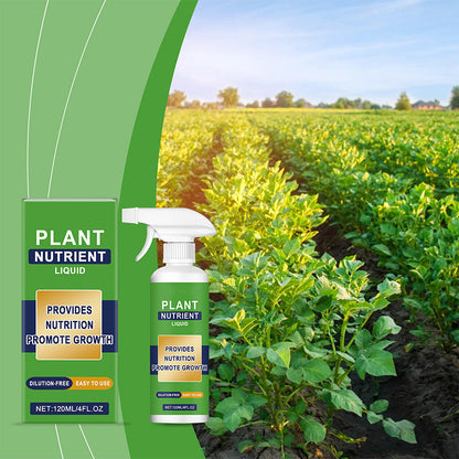 🔥Aanbieding 50% KORTING🔥 Vloeibare plantenvoeding in sprayvorm – Bladvoeding, gebruiksklaar, voor binnen en buiten 🌿