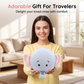 2-in-1 Travel Pillow with Eye Mask